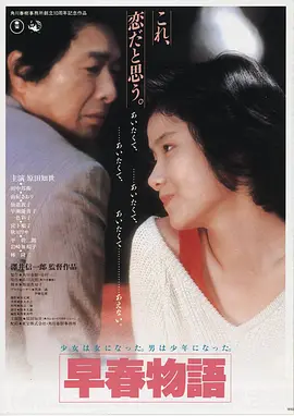 雾港回声